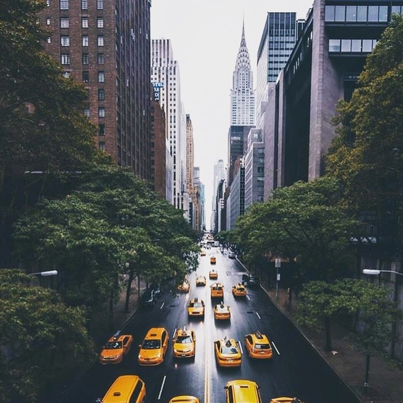 Meet your Posher, Andrew - Picture 1 of 1